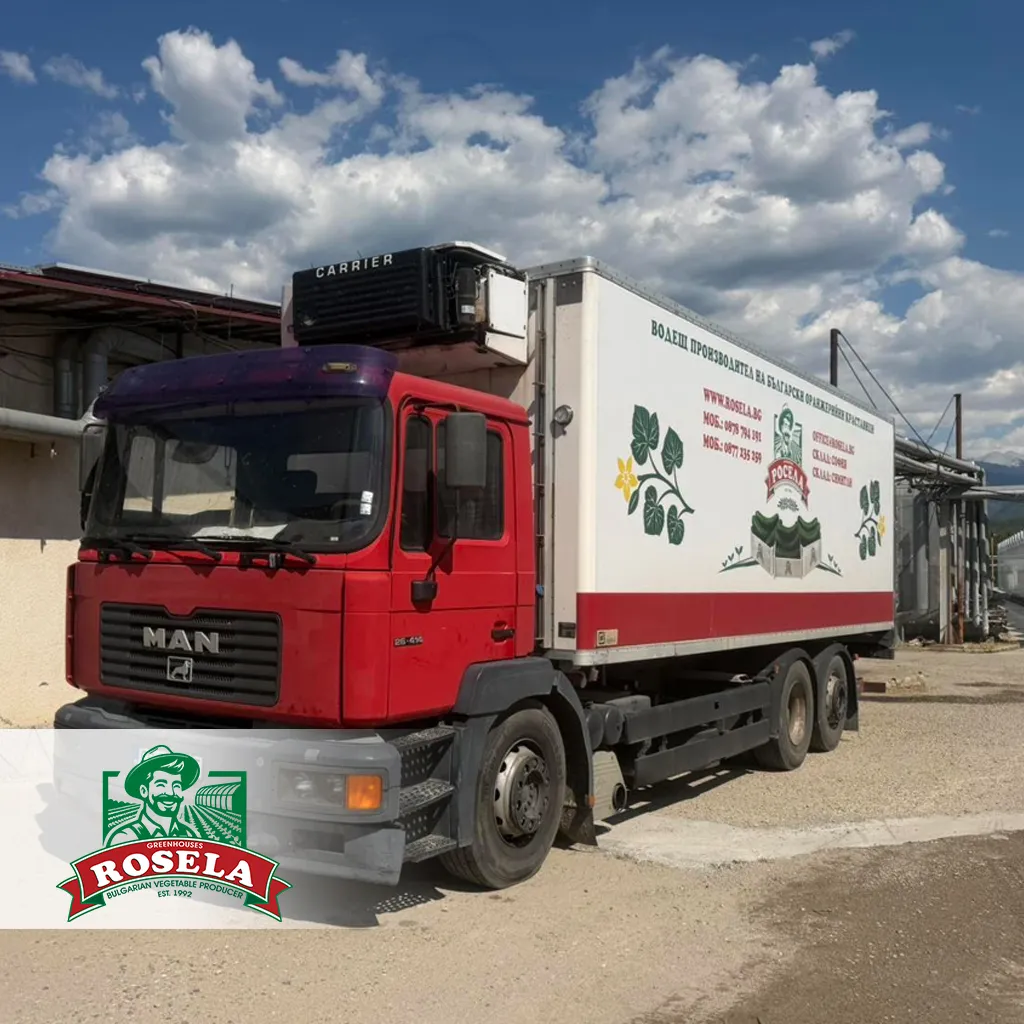 Rosela cucumber shipments prepared for transport after packing and euro pallet organization.